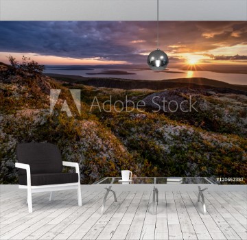 Picture of Moss lichen and other mountain tundra plants in autumn colors growing by the slopes of Hibinpahkchorr mountain In background sun setting above lake Large Imandra Russia Hibiny